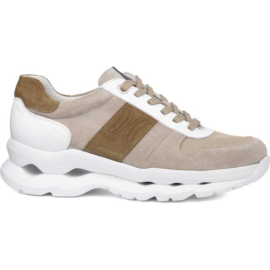 Baskets Callaghan 17823 Mare Beige Homme | UEN-47249404