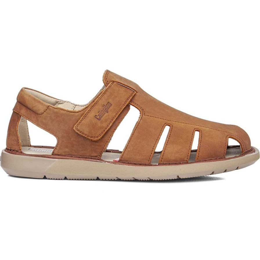 Sandales Callaghan 92311 Leban Marron Homme | CEG-87960001