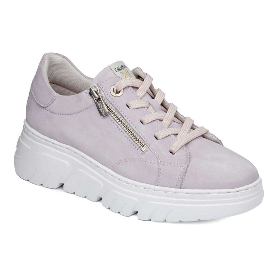 Chaussures Plateforme Callaghan 51801 Baccara Violette Femme | WEQ-40963431